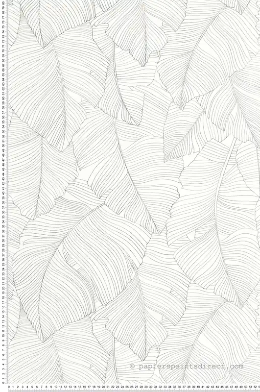Expédié Aujourd'hui Papier peint Feuillage Vegetalia noir et blanc - Moonlight 3 de Casélio Réf. MNL3106500929