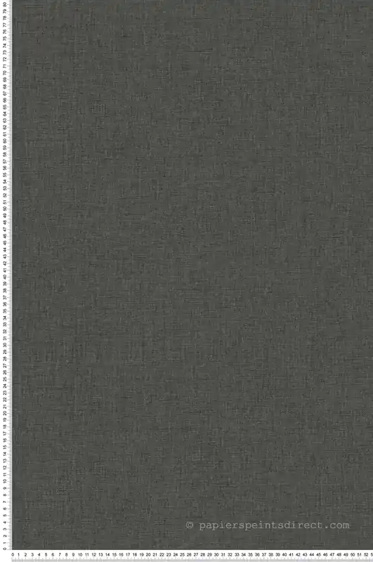 Paiement Sécurisé Papier peint Faux Uni Tissage noir - Moonlight 3 de Casélio Réf. MNL3103229610