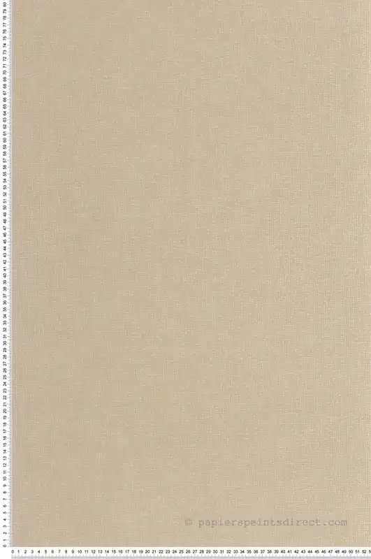 Meilleure Vente Papier peint Tissage Dione beige lin - Solaris de Casadéco Réf. SOLA201901622