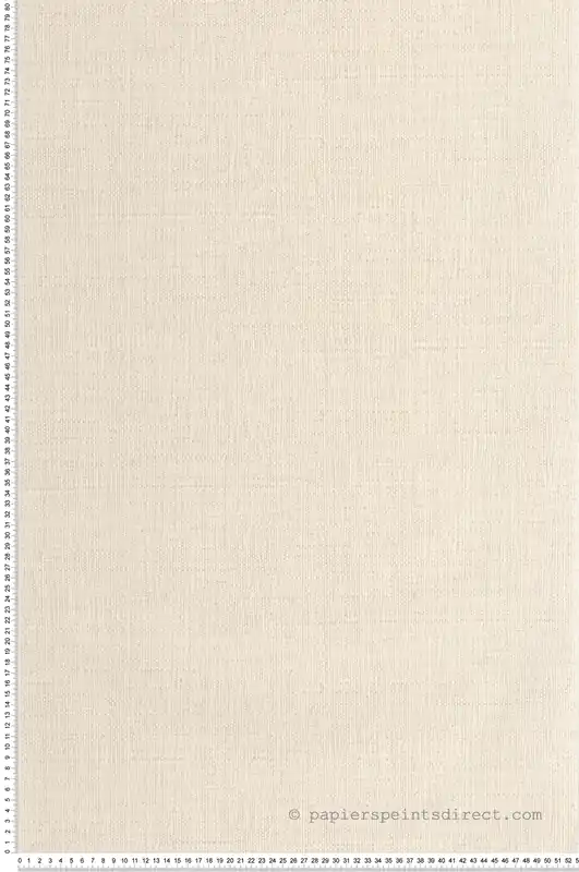 Soldes Papier peint Raphia Tissé lin - Symphony de Casélio Réf. SYM105971522