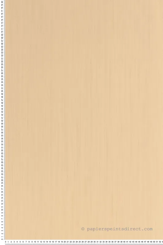 Top Vente Papier peint Uni Lignosa sable - Woodline de Casélio Réf. WOD106801120