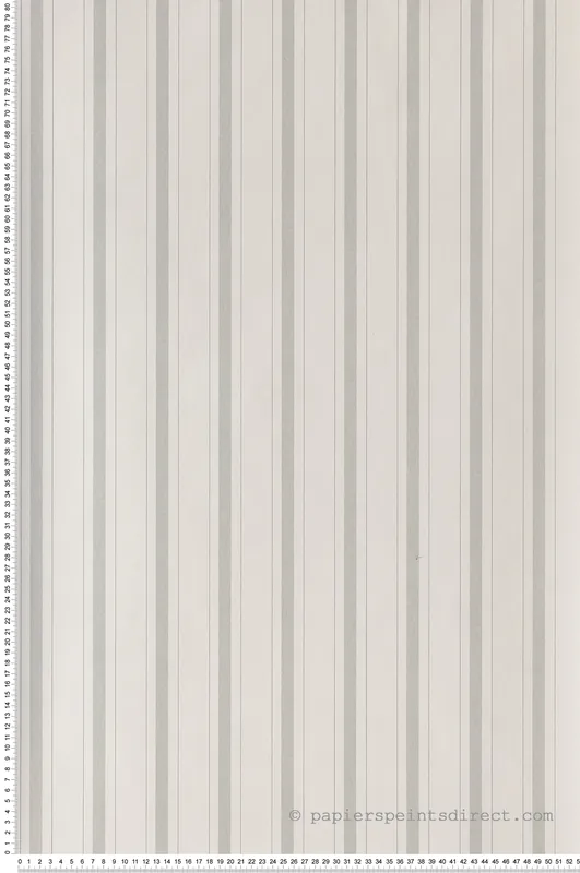 Remise Papier peint Rayure Baroque vert amande - Les Belles Toiles De Jouy 2 de Casadéco Réf. BTJD81577104