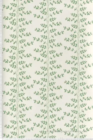 Acheter En Ligne Papier peint Feuillage Climbing Vine beige doré - Rifle Paper Co. 3 de York (Initiales) Réf. INI-RF7423