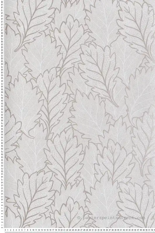 Bon Marché Papier peint Feuilles Chêne grège - Esterel de Montecolino Réf. MC-AN28260