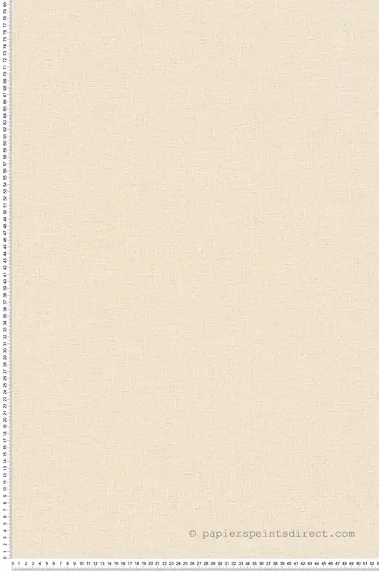 Seulement Aujourd'hui Papier peint Uni Paillette Métallisé beige argenté - Cosmoliving d‘A.S. Création Réf. AS-790653