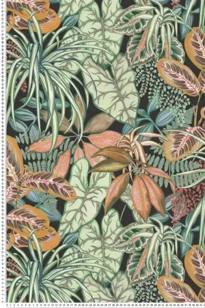 Affaire À Saisir Papier peint Feuillage Jungle Hothouse anthracite - Ananda d‘Osborne & Little Réf. OSB-W8032-03