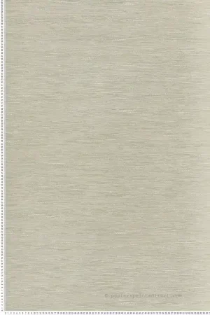 Livraison Express Papier peint Faux Uni Tissage Tatami vert amande - Le Jacquard de Casamance Réf. CAS-C75345202