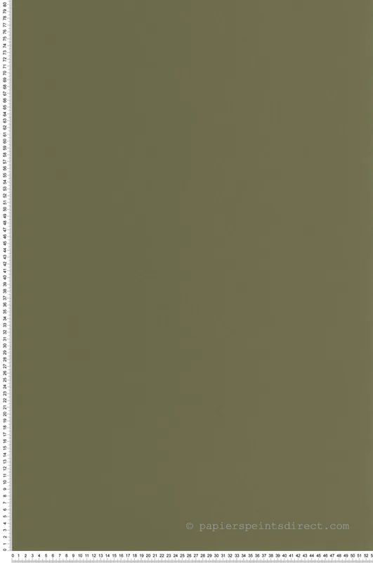 Top Vente Papier peint Uni Pigments Buvard vert olive - Heritage de Casadéco Réf. HETA200337606