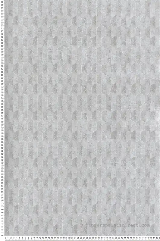 Acheter En Ligne Papier peint Art Déco Vector gris perle argenté - The Texture Book de Masureel Réf. MAS-ORB705