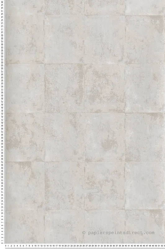 Produit De Marque Papier peint Béton Solid grège argenté - The Texture Book de Masureel Réf. MAS-ORB401