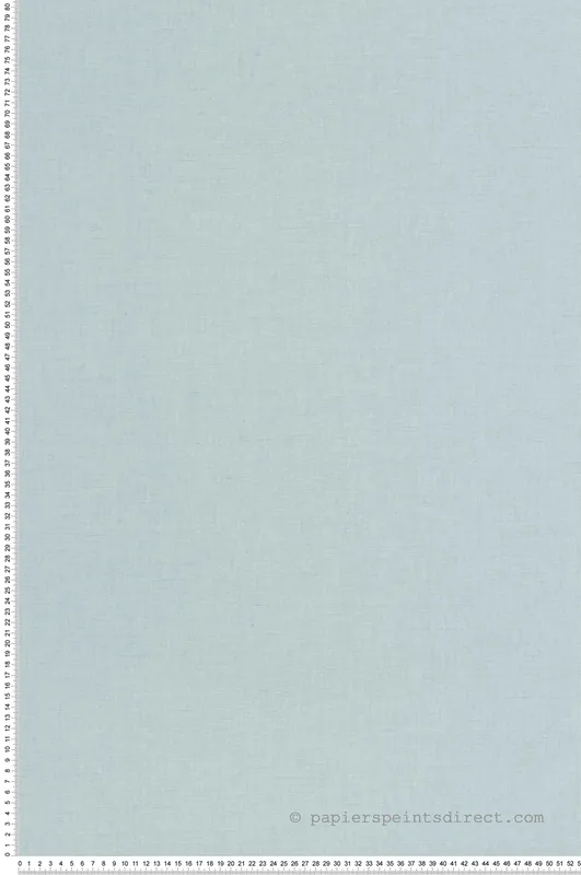 Super Prix Papier peint Faux Uni Tissage bleu doux - Art of Botany de Casélio Réf. AOB103226145