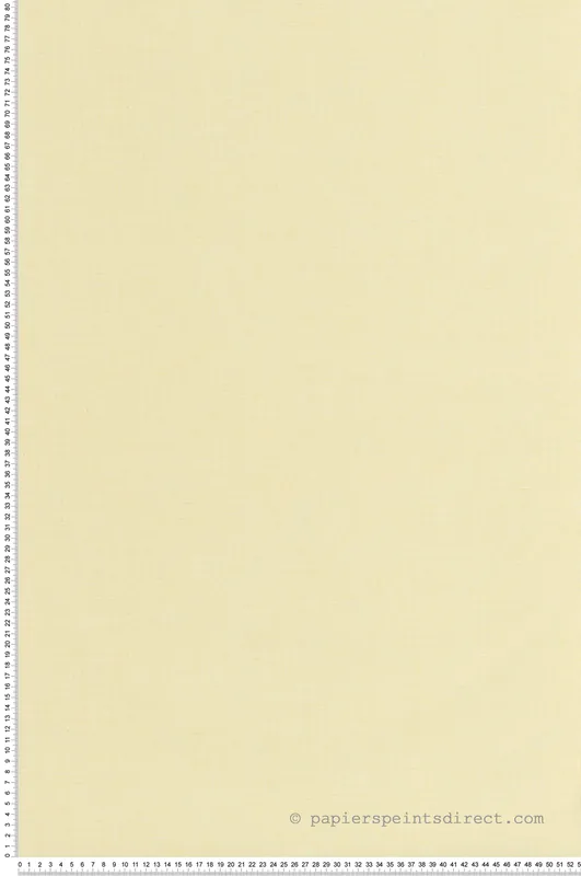 Super Prix Papier peint Faux Uni Tissage jaune pastel - Art of Botany de Casélio Réf. AOB103222000