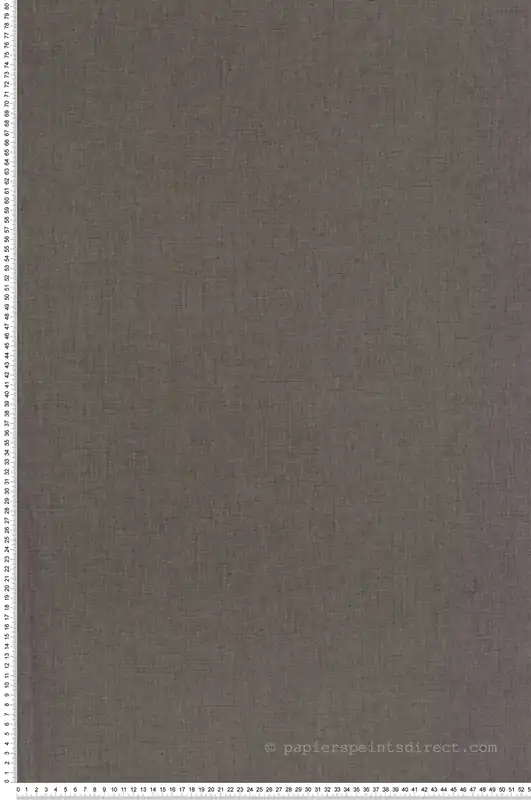 Meilleur Prix Papier peint Faux Uni Tissage taupe cendré - Art of Botany de Casélio Réf. AOB103221920