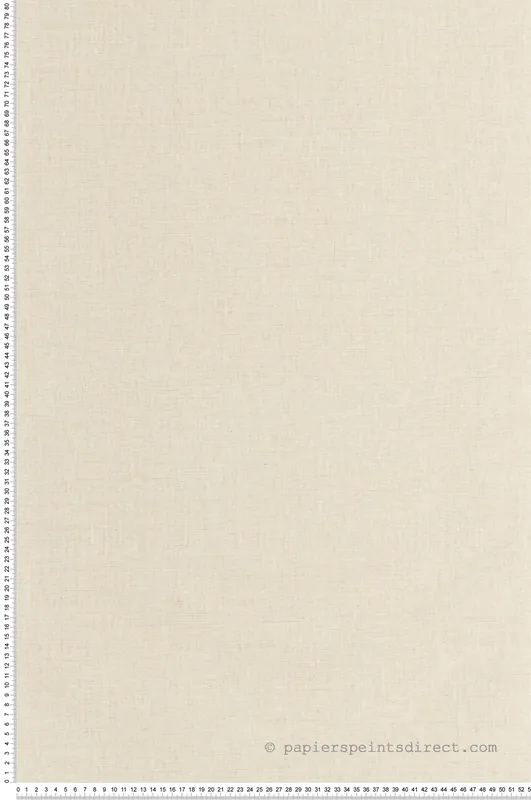 Meilleur Prix Papier peint Faux Uni Tissage ivoire - Art of Botany de Casélio Réf. AOB103221550
