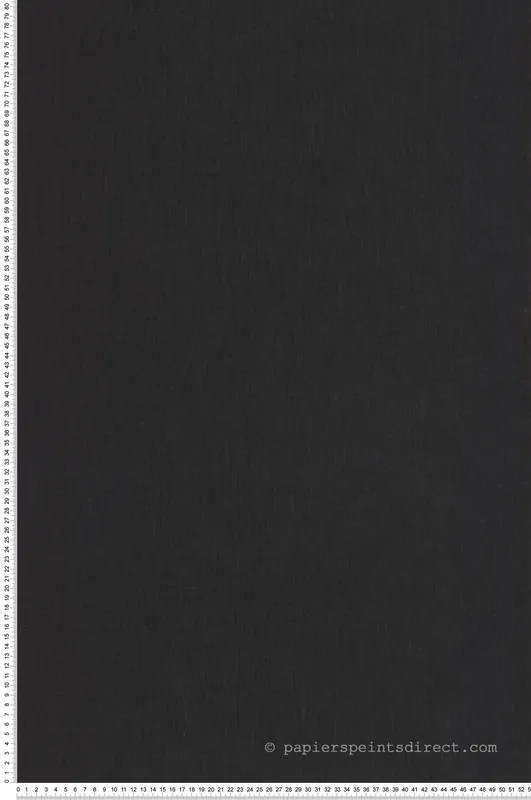 Achetez Aujourd'hui Papier peint Uni Toile noir - Art of Botany de Casélio Réf. AOB68529999