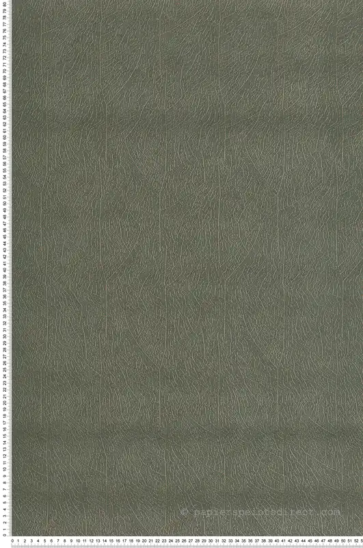 Vente Flash Papier peint Feuille Nervure Nola vert paon - Vegetals de Casadéco Réf. VEGE201287909