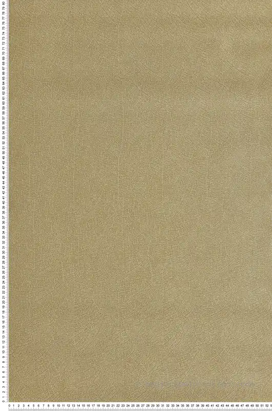 Marque Papier peint Feuille Nervure Nola doré - Vegetals de Casadéco Réf. VEGE201282332