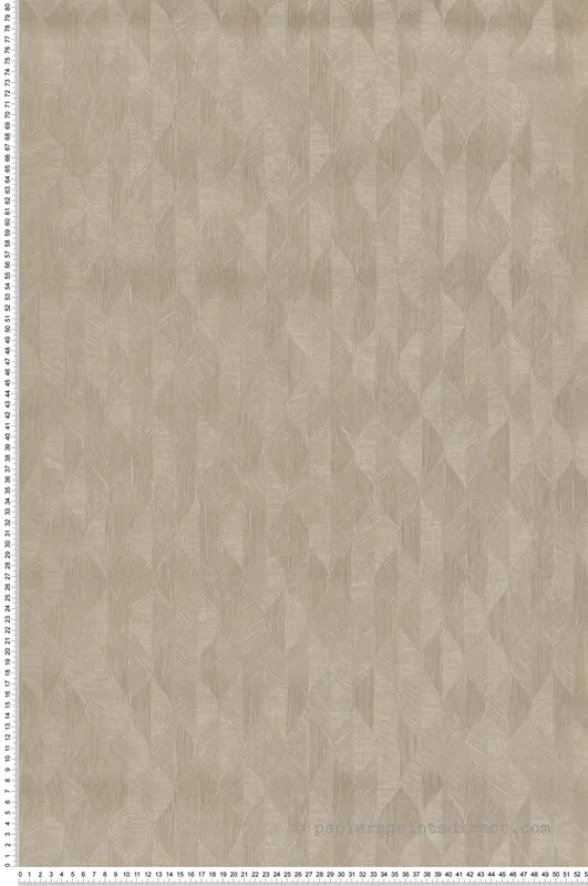 Vente Directe Papier peint Feuille Art Déco Tarrazu beige lin - Vegetals de Casadéco Réf. VEGE201271414