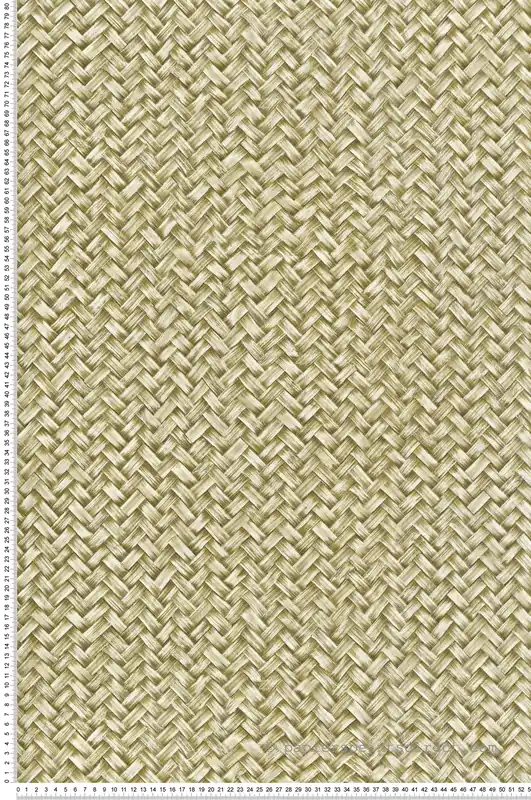 Papier peint Tressage Paille Chevron vert - Architexture de Montecolino Réf. MC-AZ57716 Meilleur Prix