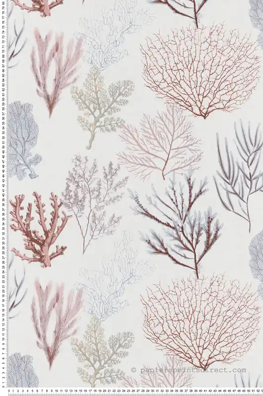 Dernier Modèle Papier peint Marin Corail rouge - Seaside de Casadéco Réf. SEAS83978121