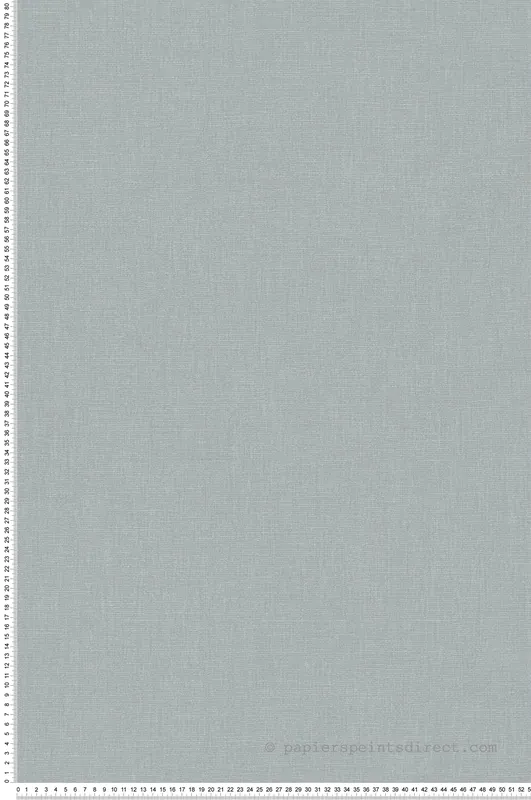 Acheter Direct Papier peint Uni Lin Caractère bleu gris - Seaside de Casadéco Réf. SEAS201176306