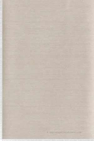 Achat Immédiat Papier peint Faux unis Soie Tafta ficelle - Amazone de Masureel Réf. MAS-ZON004