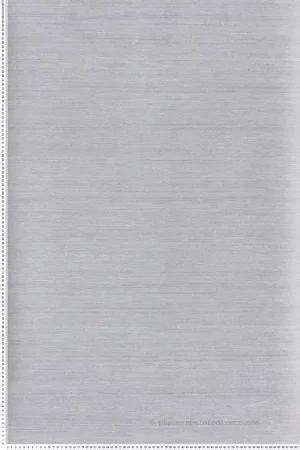 Dernière Chance Papier peint Faux unis Soie Tafta gris - Amazone de Masureel Réf. MAS-ZON002