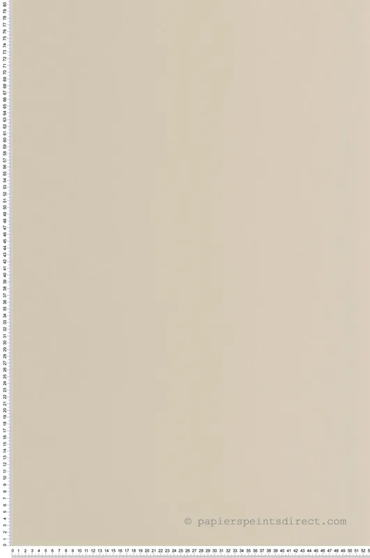 Marque Papier peint Uni Pigments Buvard beige ficelle - Moulures & Co de Casadéco Réf. MOCO200331212