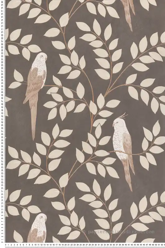 Must-Have Papier peint Oiseau Jungle Equateur gris - Borneo de Casélio Réf. BORN106529023