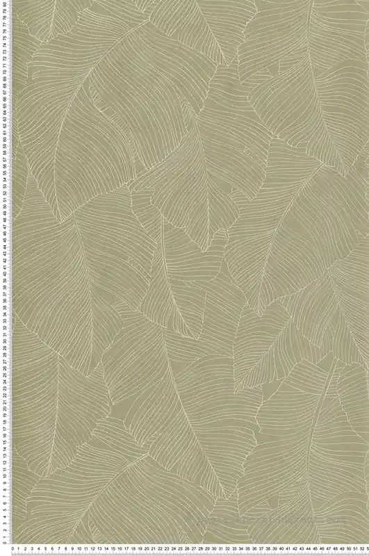 Dernier Modèle Papier peint Feuillage Vegetalia vert tilleul - Borneo de Casélio Réf. BORN106507170