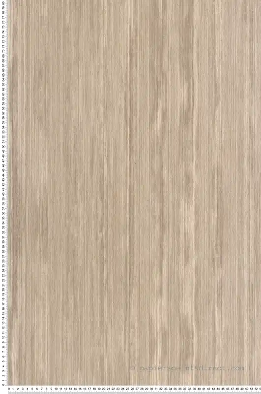 Commande En Gros Papier peint Sisal Fibre lin brun - Borneo de Casélio Réf. BORN106012178