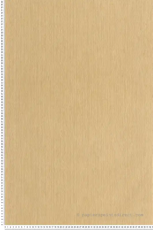 Bon Plan Papier peint Sisal Fibre vanille - Borneo de Casélio Réf. BORN106011403