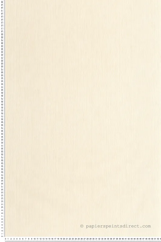 Offre Spéciale Papier peint Sisal Fibre ivoire - Borneo de Casélio Réf. BORN106011129