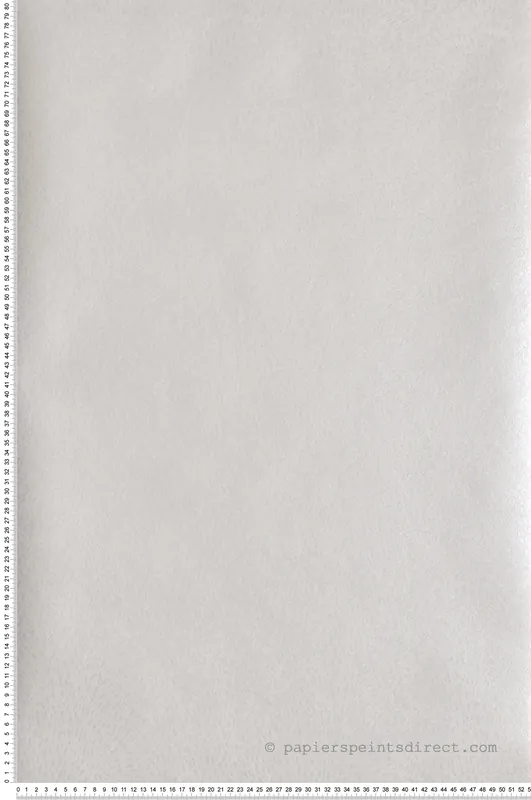 Paiement Sécurisé Papier peint Étincelle grège argenté - Attitude de Lutèce Réf. LTC-DWP0363-06