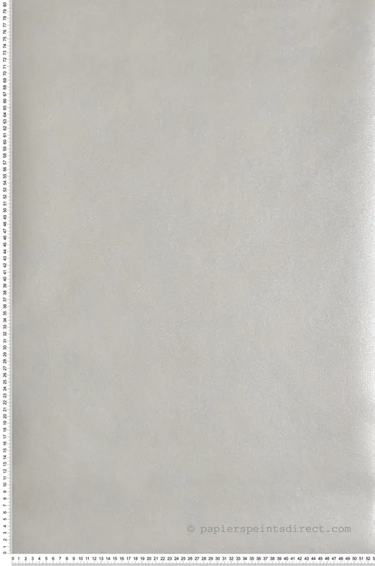Papier peint Cercle Graphique argenté - Attitude de Lutèce Réf. LTC-DWP0366-06 Dernier Modèle
