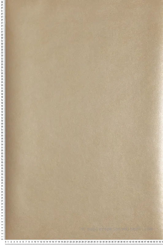 Authentique Papier peint Cercle Graphique gris doré - Attitude de Lutèce Réf. LTC-DWP0366-02