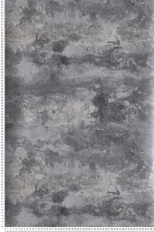 Marque Papier peint Effet Béton Nuage gris argenté - Attitude de Lutèce Réf. LTC-DWP0356-05