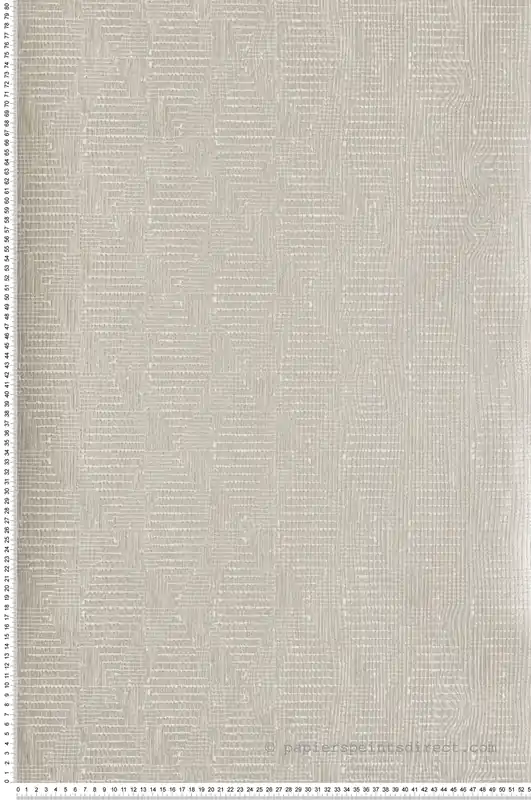 Haute Qualité Papier peint Tissage Texture grège nacré - Attitude de Lutèce Réf. LTC-AM22003-3