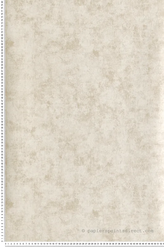 Papier peint Faux Uni Ciment écru irisé - Attitude de Lutèce Réf. LTC-AM22009-1 Nouveauté