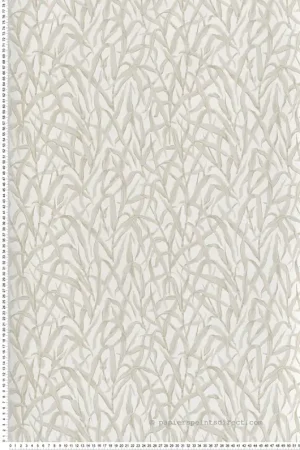 Paiement Sécurisé Papier peint Feuilles Ornamental Grasses beige - V&A Decorative Papers III d‘Initiales Réf. INI-2513-185-02