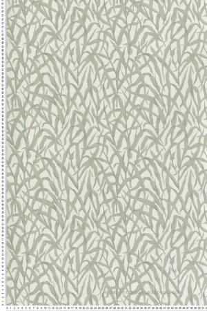Papier peint Feuilles Ornamental Grasses vert - V&A Decorative Papers III d‘Initiales Réf. INI-2513-185-01 Achat Immédiat