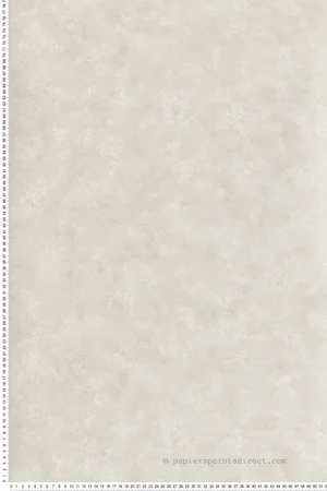 Produit De Marque Papier peint Faux Uni Patine Henley grège - V&A Decorative Papers III d‘Initiales Réf. INI-2513-189-04