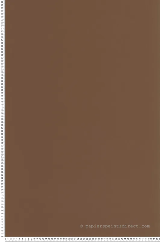 Top Vente Papier peint Uni Pigments Buvard cacao - Années Folles de Casadéco Réf. ANFO200332909