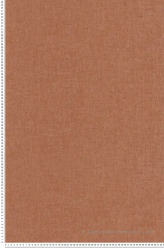 Meilleure Vente Papier peint Faux Uni Tissage terracotta - Twist de Casélio Réf. TST103222249