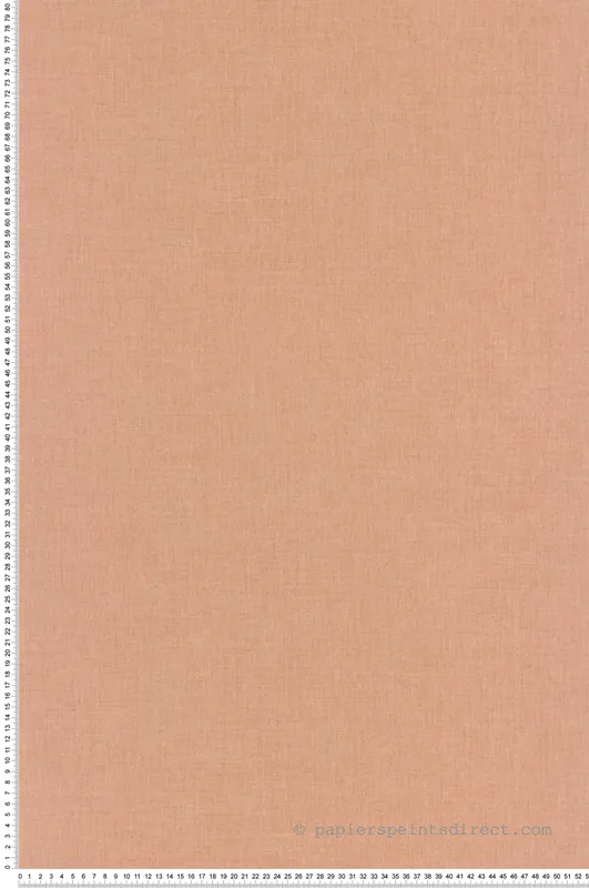 Top Vente Papier peint Uni Toile saumon - Twist de Casélio Réf. TST68523914