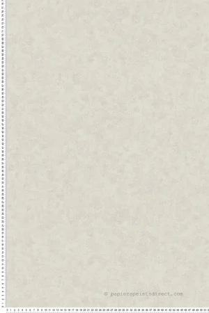 Papier peint Uni Texturé Heritage gris ombre - Beaux Arts de Lutèce Réf. LTC-M1836 Must-Have
