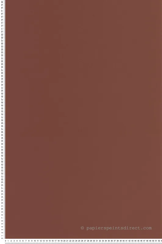 Vente Directe Papier peint Uni Pigments Buvard bordeaux - Color Game de Casadéco Réf. GAME200332808