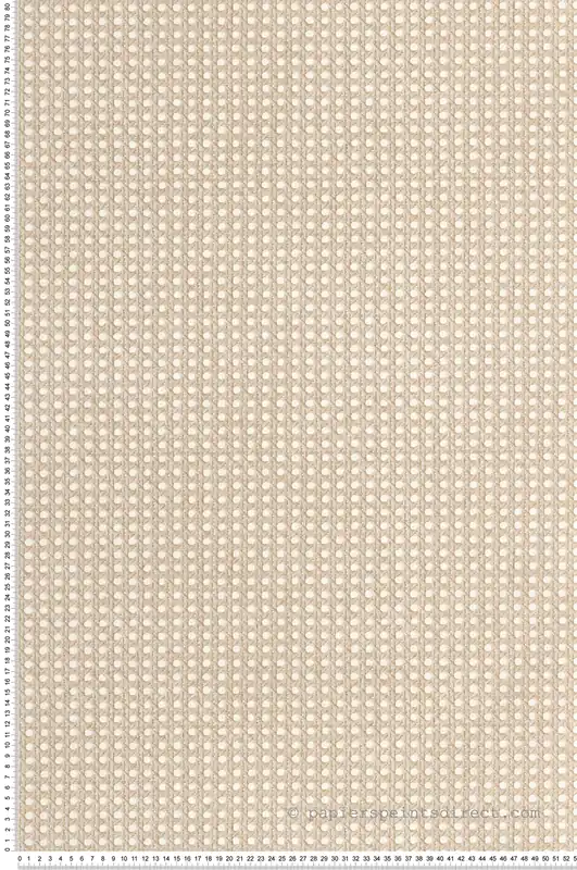 Offre Limitée Papier peint Cannage Rotin Tissé beige - Matières de Casélio Réf. MMT106022050