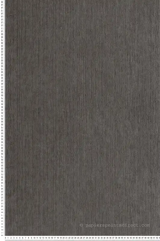 Bon Plan Papier peint Sisal Fibre gris intense - Matières de Casélio Réf. MMT106019000
