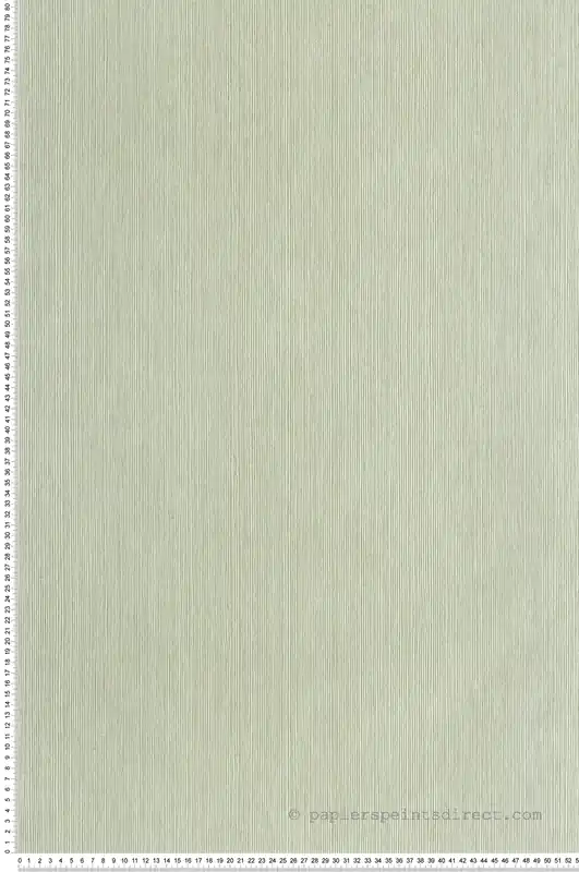 Offre Du Jour Papier peint Sisal Fibre vert amande - Matières de Casélio Réf. MMT106017004